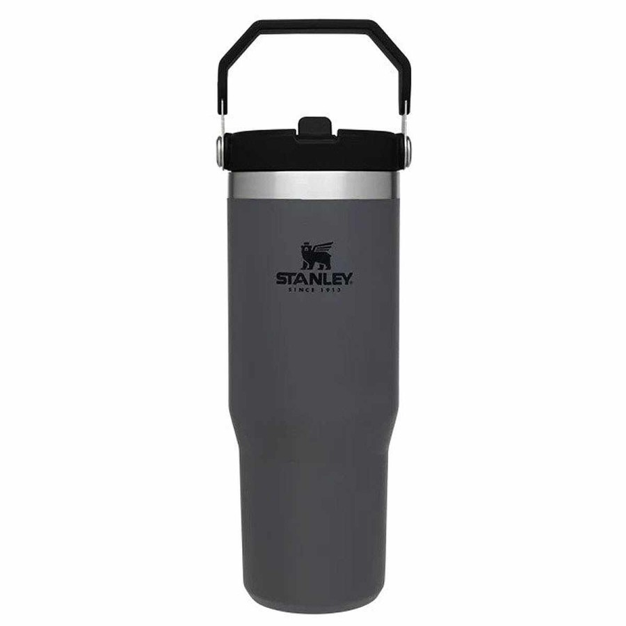 Feeding Stanley Water Bottles | Classic 30Oz Flip Straw Tumbler