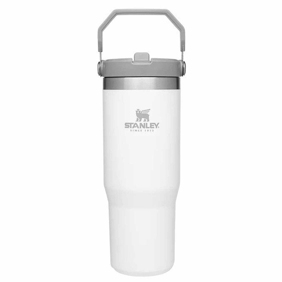 Feeding Stanley Water Bottles | Classic 30Oz Flip Straw Tumbler